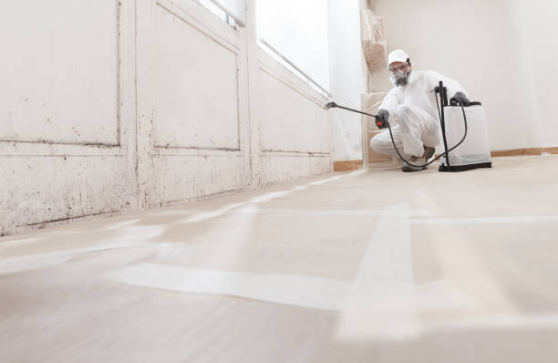 24/7 Emergency Mold Removal experts in Farmington, PA